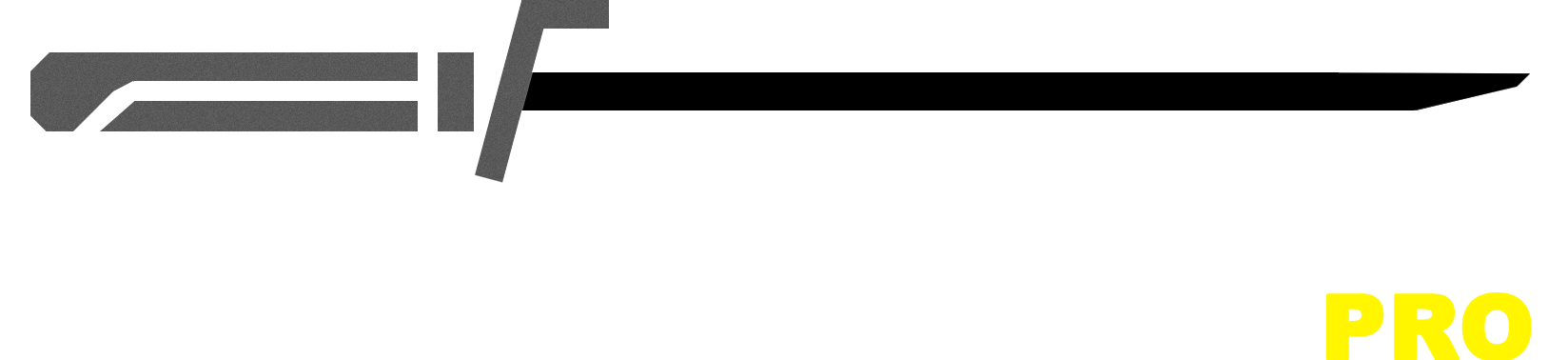 Darksaber PRO Logo